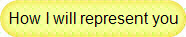 How I will represent you
