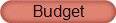 Budget